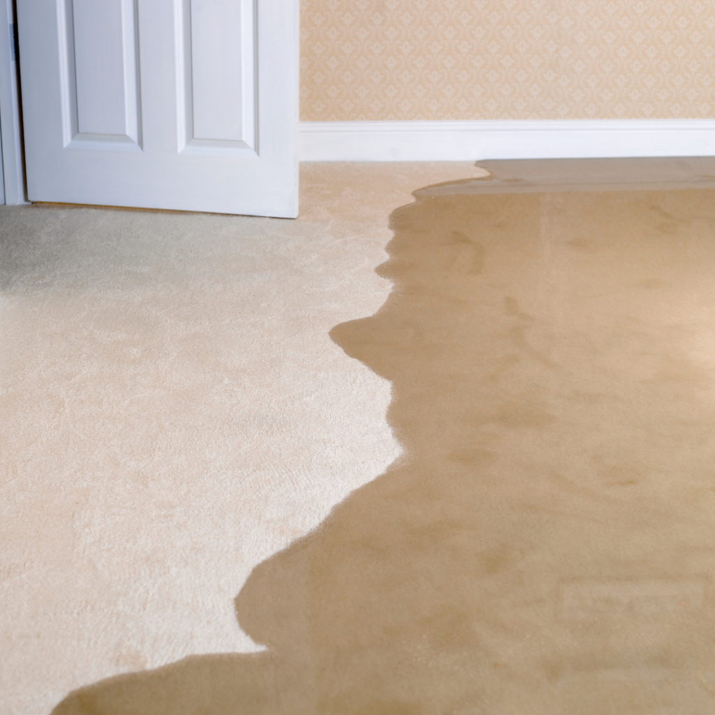 water leak on a carpet