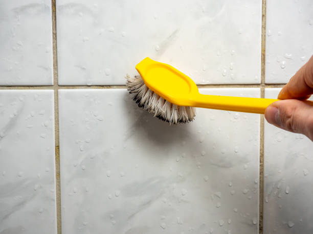 The Best Time of Year for 100% Top Quality Tile and Grout Cleaning in Waldwick Homes