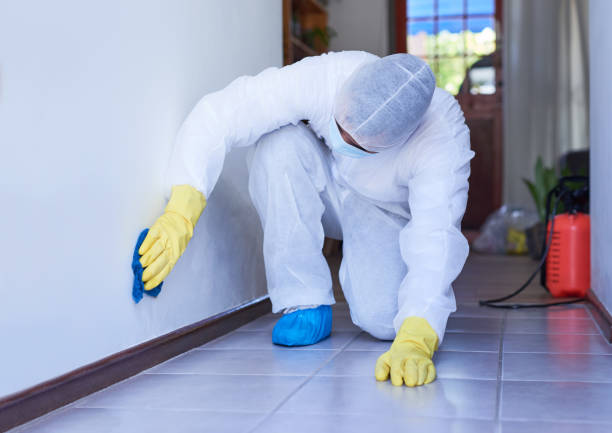 Who Actually Pays for Biohazard Cleanup in Hillsdale, NJ: 24/7 Emergency