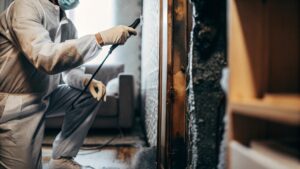 Professional conducting a mold inspection in Rocklin to assess wall contamination and indoor air safety