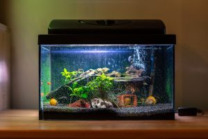 how to fix aquarium leak