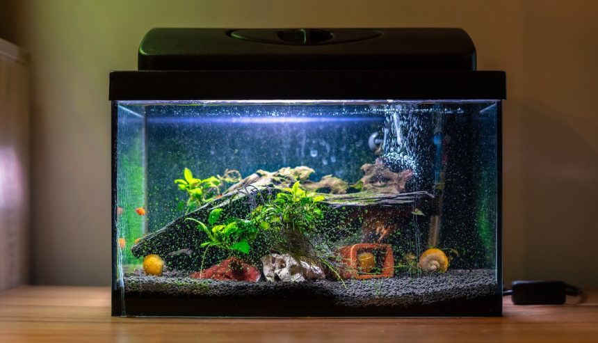 how to fix aquarium leak