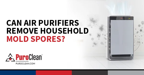 A modern air purifier emits clean air, surrounded by dark mold spores on a white background.