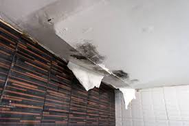 Costs of Water Damage in Dallas
