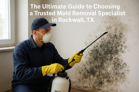 The Ultimate Guide to Choosing a Trusted Mold Removal Specialist in Rockwall, TX