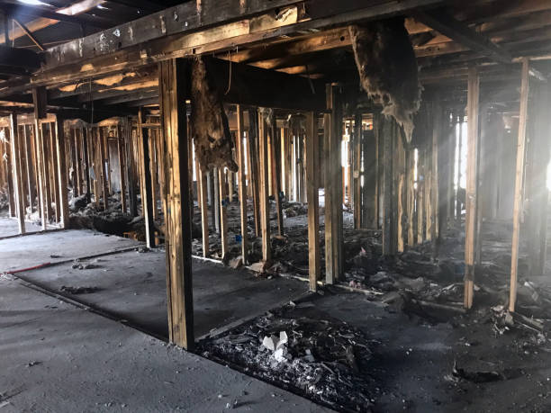 Fire and Smoke Damage Restoration in Plano