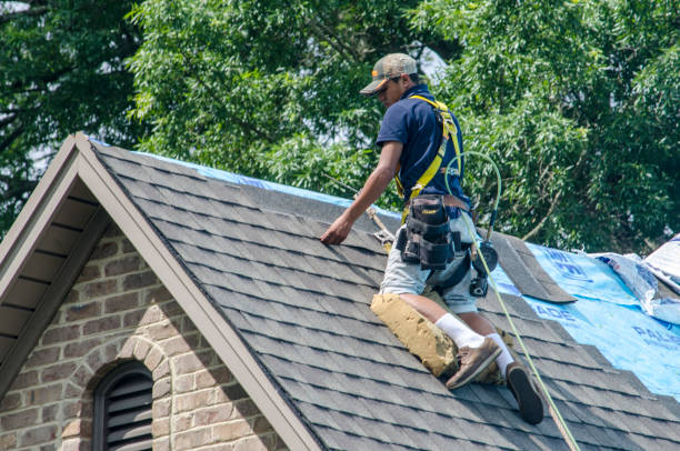 Roofing Services in Sachse