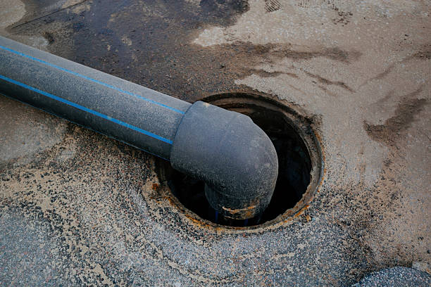 Sewage Backup