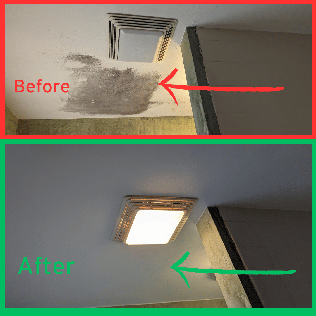 Before and After a black mold mitigation by Puroclean Romeoville