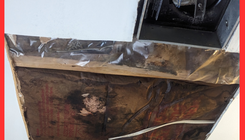 Black Mold in Bathroom fan and insulation