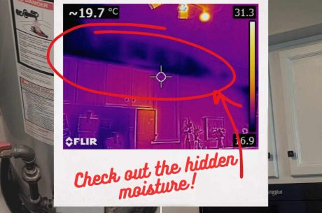 thermal imaging of water damage in plainfield home