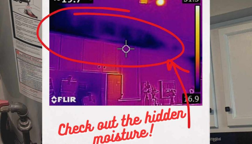 thermal imaging of water damage in plainfield home