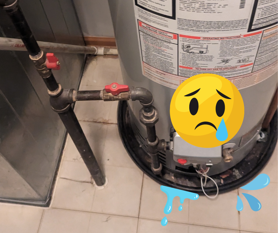 Specialized Equipment Helps "See" the Damage from a Water Leak