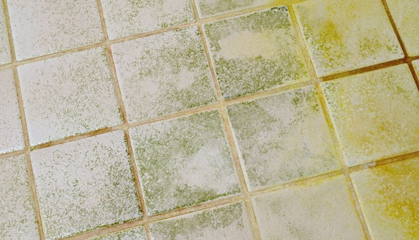 picture of moldy tiles in water damaged home