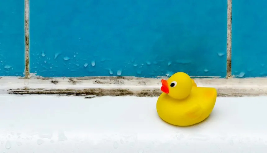 The Long-Term Effects of Black Mold on Children and Pets
