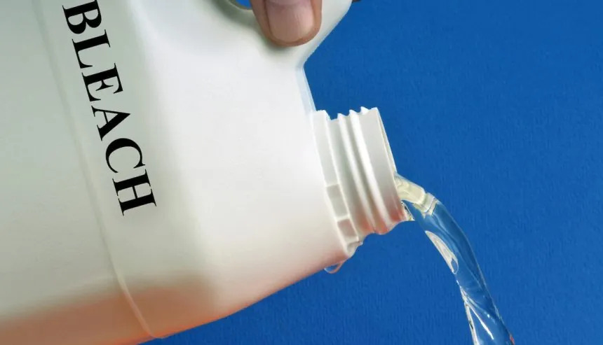 Does Bleach Kill Mold?