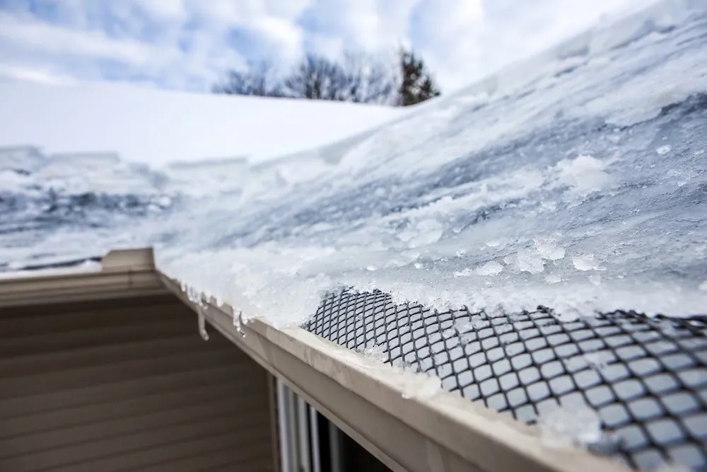 How to Prevent Home Mold Growth in Winter: Essential Tips to Protect Your Home
