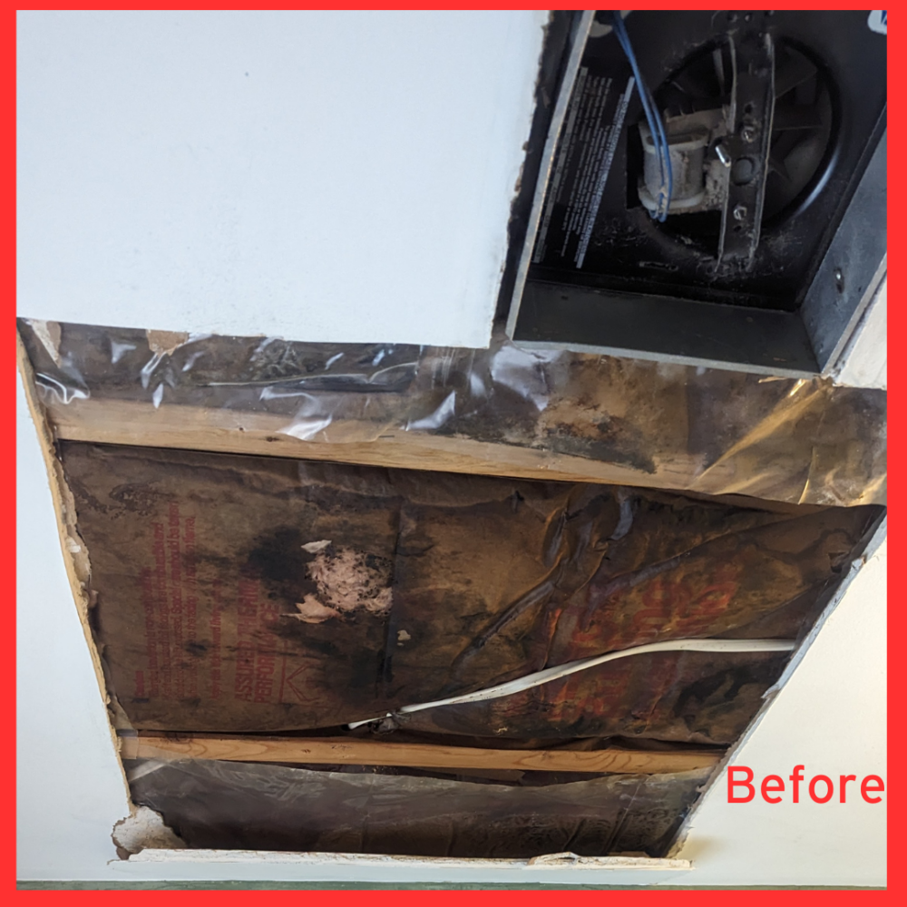 Black Mold in Bathroom fan and insulation