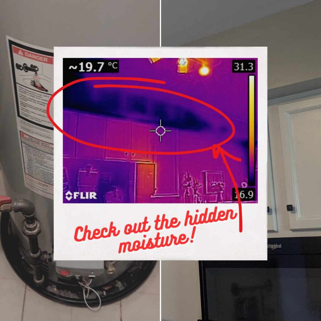 thermal imaging of water damage in plainfield home