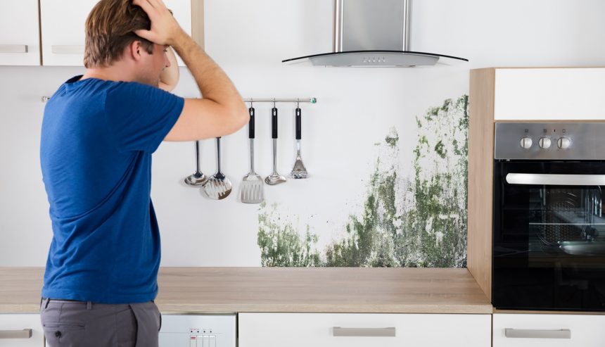 Moldy Kitchen Tile