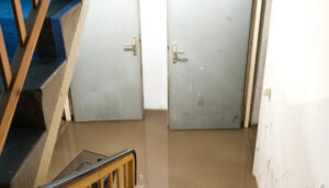 2 doors at the bottom of a stairwell with flooded water standing at the bottom