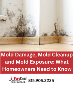 Mold damage on drywall after water damage