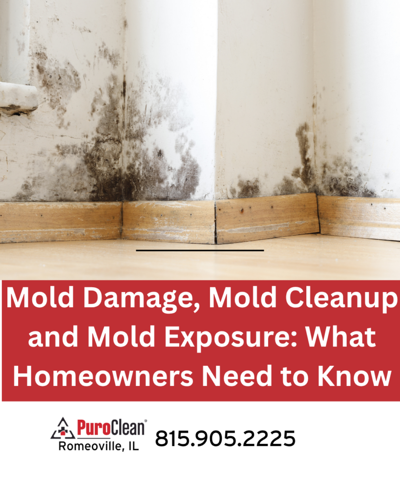 Mold damage on drywall after water damage