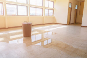 Water Damage Restoration by PuroClean 