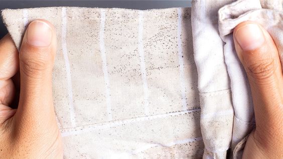 “Mastering Mold: Understanding, Assessing, and Preventing Mold Growth on Clothes”
