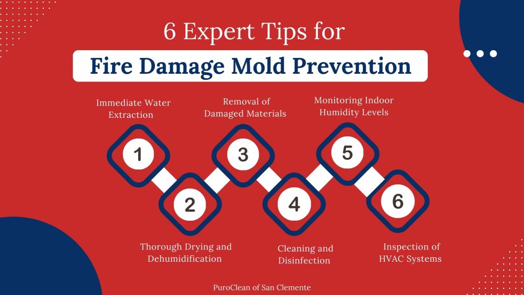 Fire Damage Mold Prevention