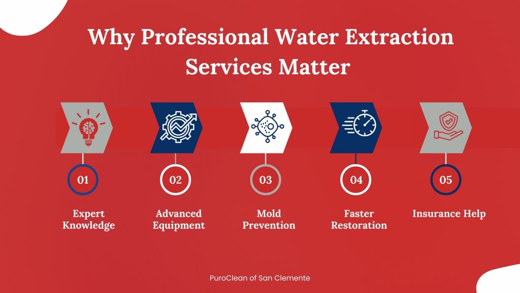 importance of professional water extraction services