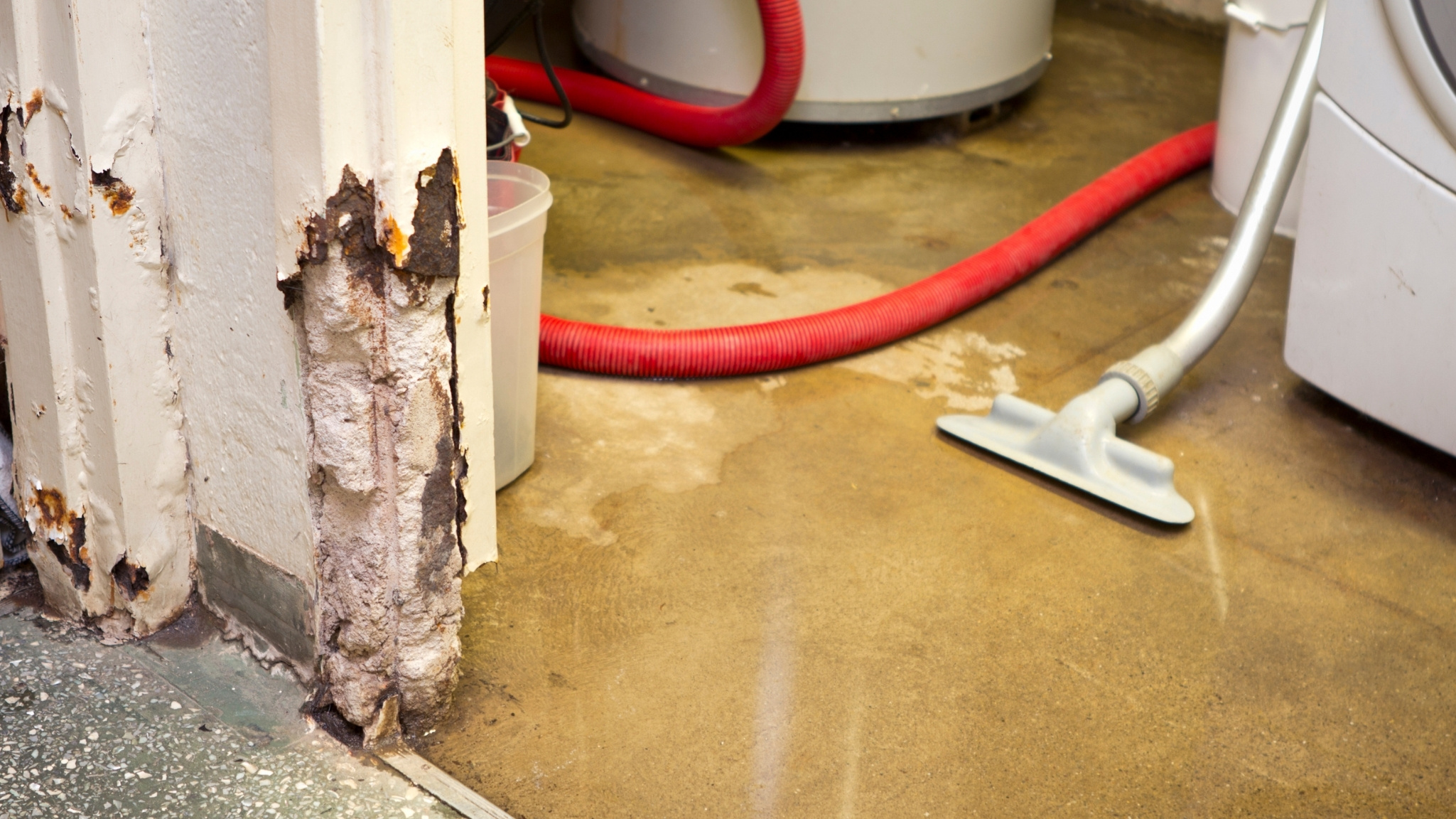 The Ultimate Guide to Water Damage Restoration in San Clemente