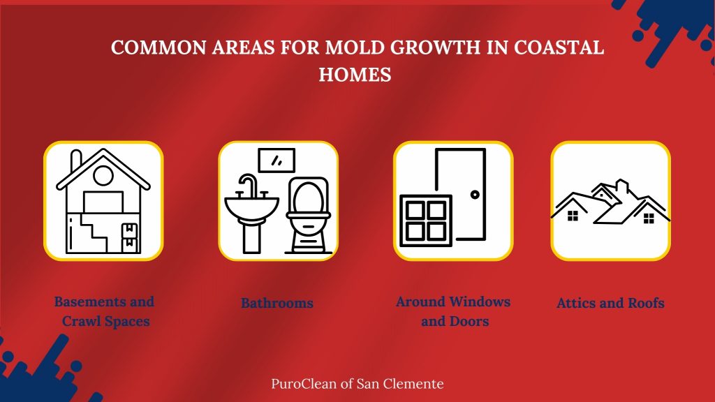 common areas for mold growth in coastal homes
