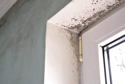 how to detect mold in your home