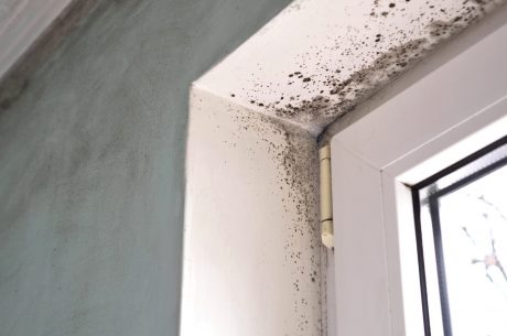 Why Coastal Homes in San Clemente Are More Prone to Mold