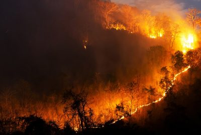 wildfire safety checklist