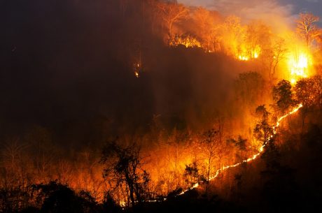 wildfire safety checklist