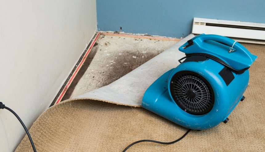 dehumidifiers in water damage