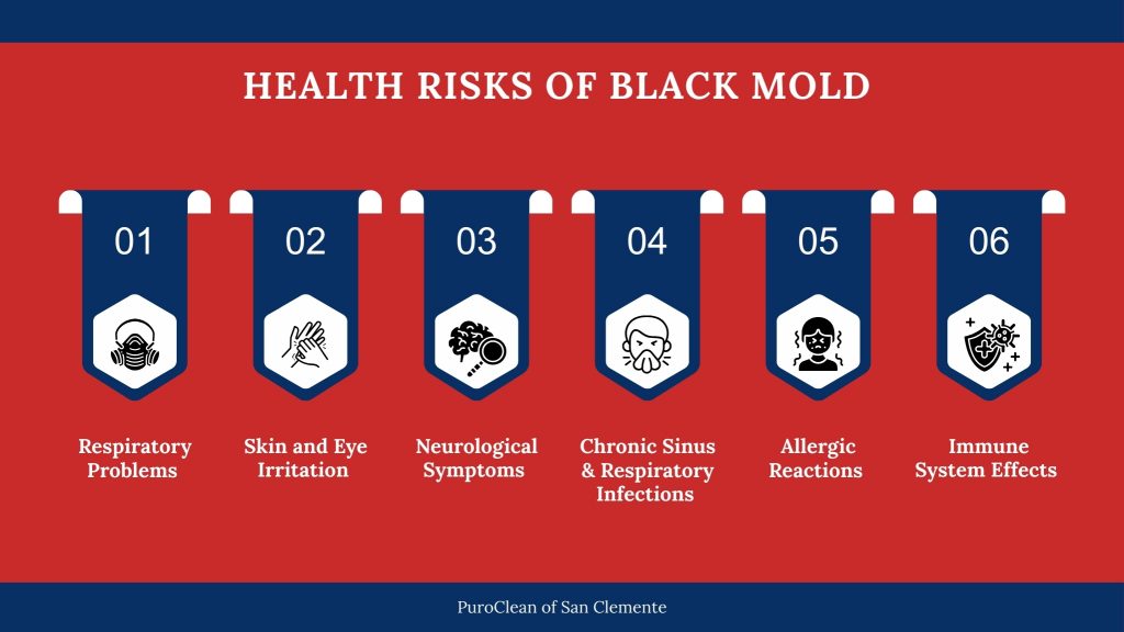 health risk of black mold