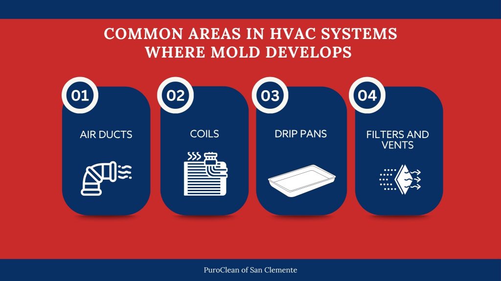 common areas in HVAC systems where mold grows