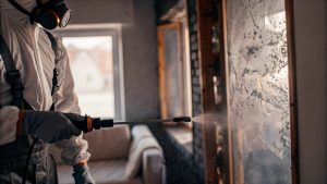 Technician wearing protective gear safely cleaning mold on a residential wall to prevent spore spread.