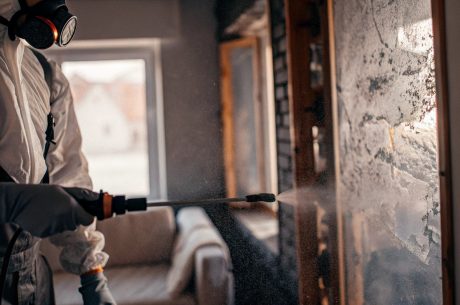 Technician wearing protective gear safely cleaning mold on a residential wall to prevent spore spread.
