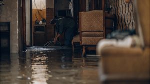 If you'd like variations (longer alt text, geotargeted SEO, or keyword-optimized for a water-damage restoration business), I can create those too!