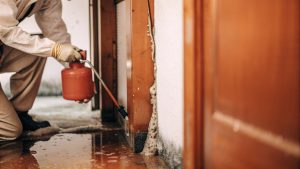 Technician cleaning water damage to prevent mold growth in a home
