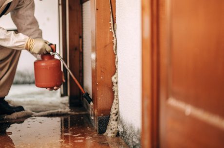 Technician cleaning water damage to prevent mold growth in a home