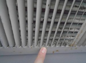 Mold in HVAC unit