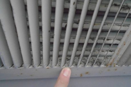 Mold in HVAC Unit: Causes, Warning Signs, Health Risks & How to Remove It