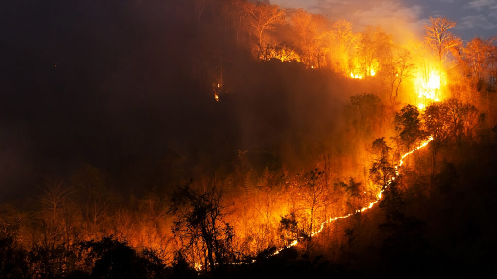 wildfire safety checklist