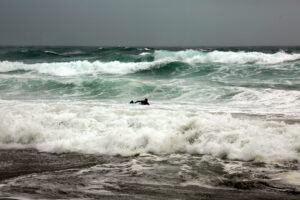 Surfer in SoCal during El Nino