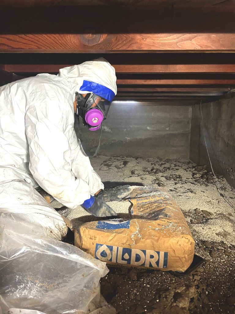 Setting absorbent to suck up excess moisture from soil.